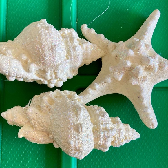 ♥️🤍💙3 NEW Ornament White Seashell and Starfish Set - Picture 1 of 3